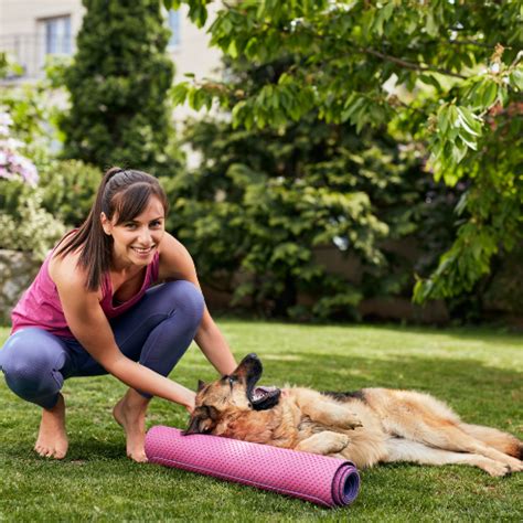 pet waste removal san antonio